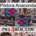 Píldora Anaconda 15